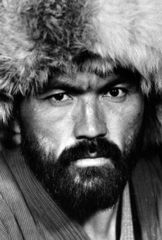 Сатар Дикамбаев